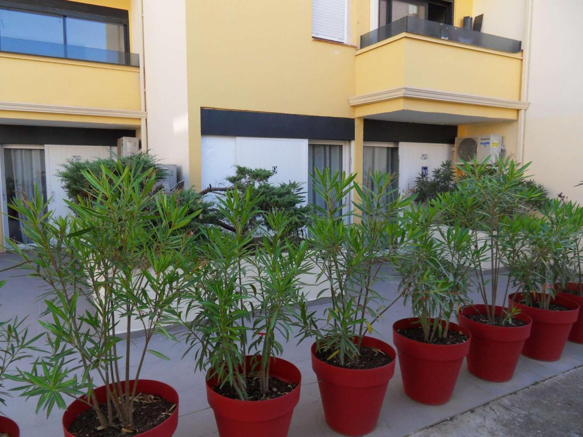 The Originals City, Hotel Cap Maya, Cap D'Agde Bagian luar foto